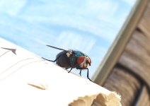 P8279219-1k.jpg