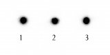Pinholes.jpg Pinholes.jpg