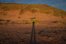 Week 35 Shadows.JPG
