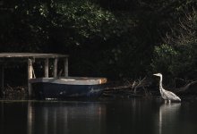 WkP9030412-1k.jpg