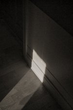 week35 - snappers choice and tech shadows.jpg