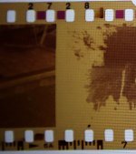 Films 1 and 3.jpg Films 1 and 3.jpg