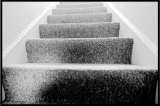 Stairs 9-18mm E-PL1 P8301526.JPG