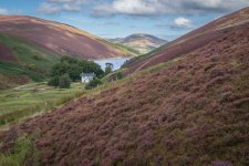 Week 36 Landscape.jpg