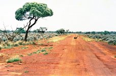 CN72A13_Adj Kingoonya Road House.jpg