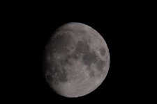 DSCF0578.JPG