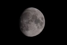 DSCF0581.JPG