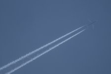 DSCF0590.JPG