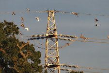 P9285459-1k.jpg