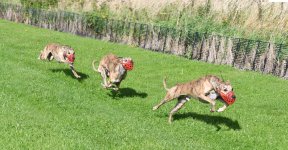 WEEK 39 - SONG TITLE.jpg