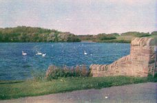 Swan Lake.jpg