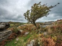 020 Bench Tor 04-0128 PS Adj.JPG