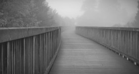 Looking Down 1.jpg