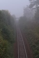 Looking Down 3.jpg