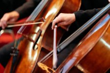 Dorking Orchestra 2048 (9 of 10) - A1107422-ARW_DxO_DeepPRIME.jpg