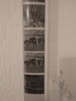 IMG_20221023_185258170.jpg