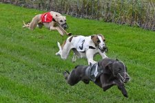 WEEK 42 - PRECISION.jpg