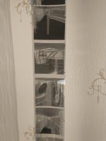 IMG_20221027_210028955.jpg