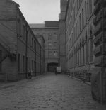 img442.jpg