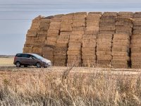 20221029-IMG_8251rustic.jpg 20221029-IMG_8251rustic.jpg