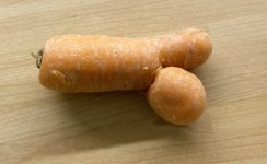 Carrot.jpg