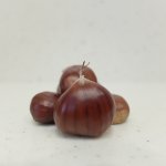 DSCF6386.JPG