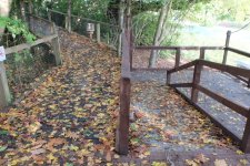 DSCF6387.JPG