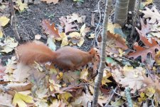 DSCF6388.JPG