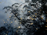 Axe Pond (3 of 10) - B0001430_1024.jpg