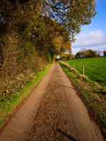 Leading-Lines-2.jpg