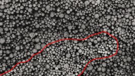 52497086513_c70edcd5ce_b copy.jpg