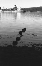 55EBBF77-845F-409C-8F9A-D0936AF47285.jpeg