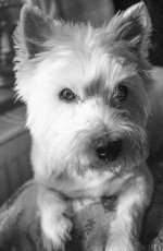 1760_032.jpg