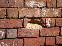 Broken brick in wall Topsham Road Exeter G5 P1070052.jpg