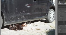 Screenshot 2022-11-25 at 23.25.11.jpg