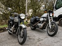 001 Trump and Sporty 01-1010673 PS Adj.JPG