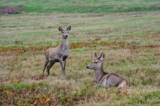 P1025184 edited (Custom).jpg