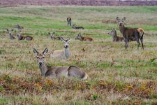 P1025178 edited (Custom).jpg