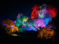 Wisley Glow 1024 (3 of 4) - B0003579.jpg