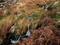 007 Piles Brook (GFX) 02-0287 PS Adj.JPG 007 Piles Brook (GFX) 02-0287 PS Adj.JPG