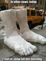 IMG-20221108-WA0002 (1).jpg