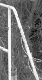 Screenshot 2022-12-19 at 22.53.25.png