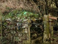 035 Moor Gate Crop 01-9618 PS Adj.JPG