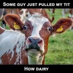 Dairy.jpg