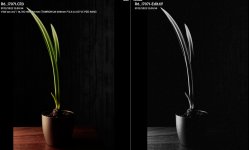 Screenshot 2023-01-02 210240.jpg