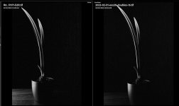 Screenshot 2023-01-02 210026.jpg