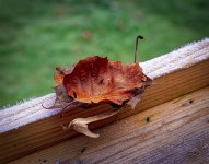 Decay-1.jpg Decay-1.jpg