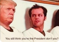 Still think you'e president_ copy 2.jpg