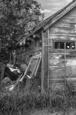 andrew's-shed2.jpg.jpg andrew's-shed2.jpg.jpg