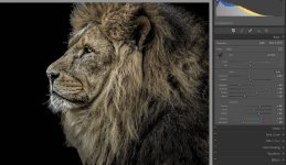 Screenshot 2023-01-09 at 4.00.47 PM.jpg